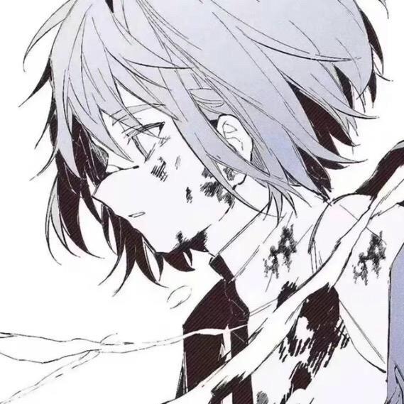 APC.Anime（无畏契约手游）