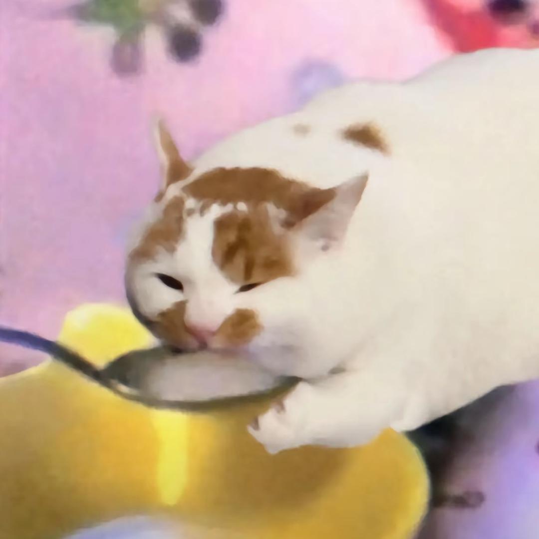 辰的