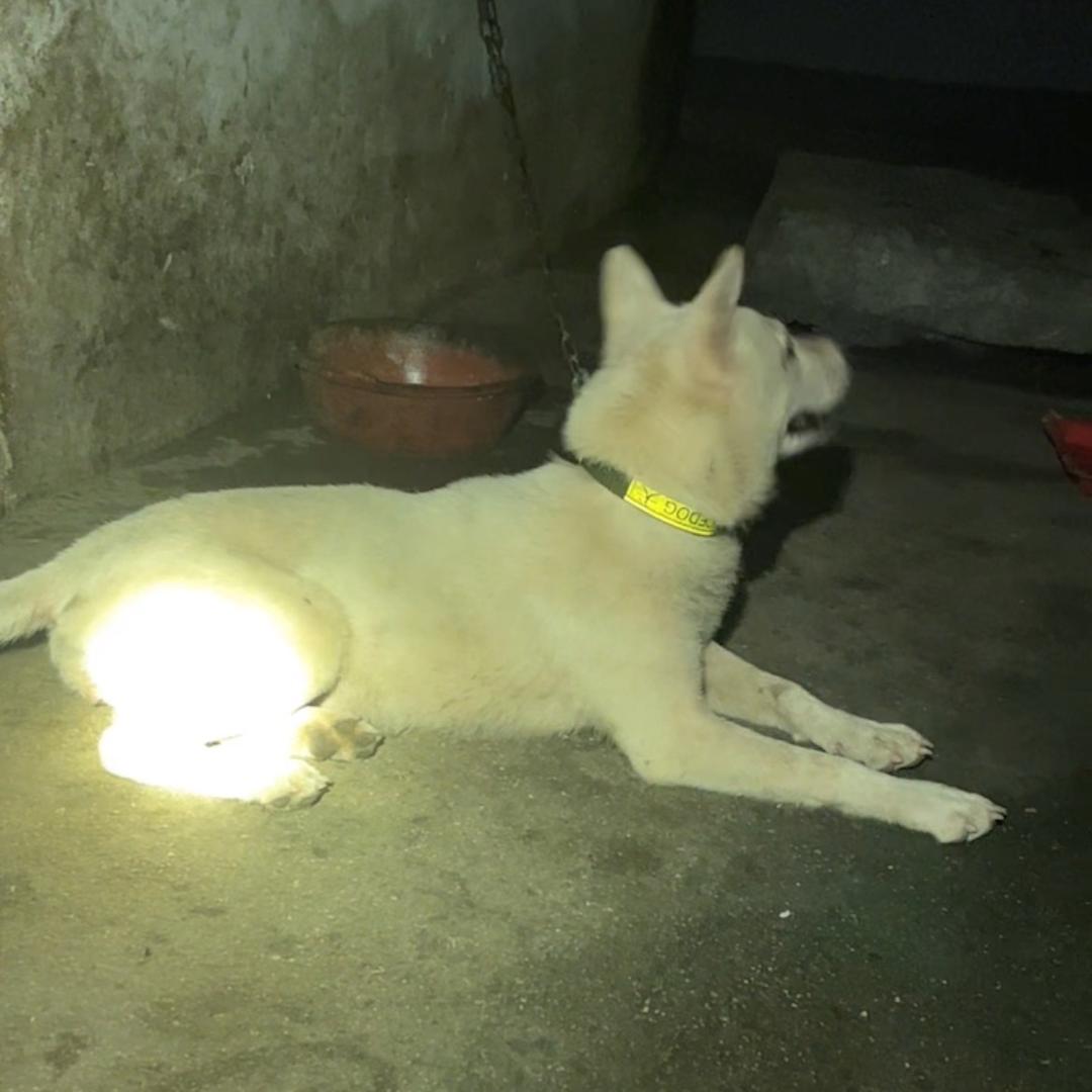 迅信