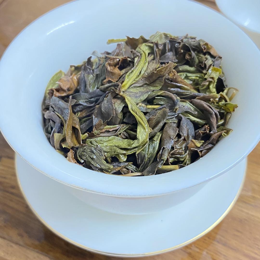 宇航家的雷龙