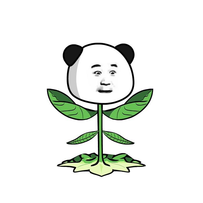 小锦哩