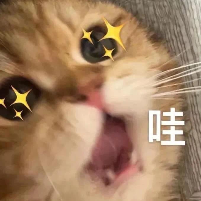 大误会了小可☀️