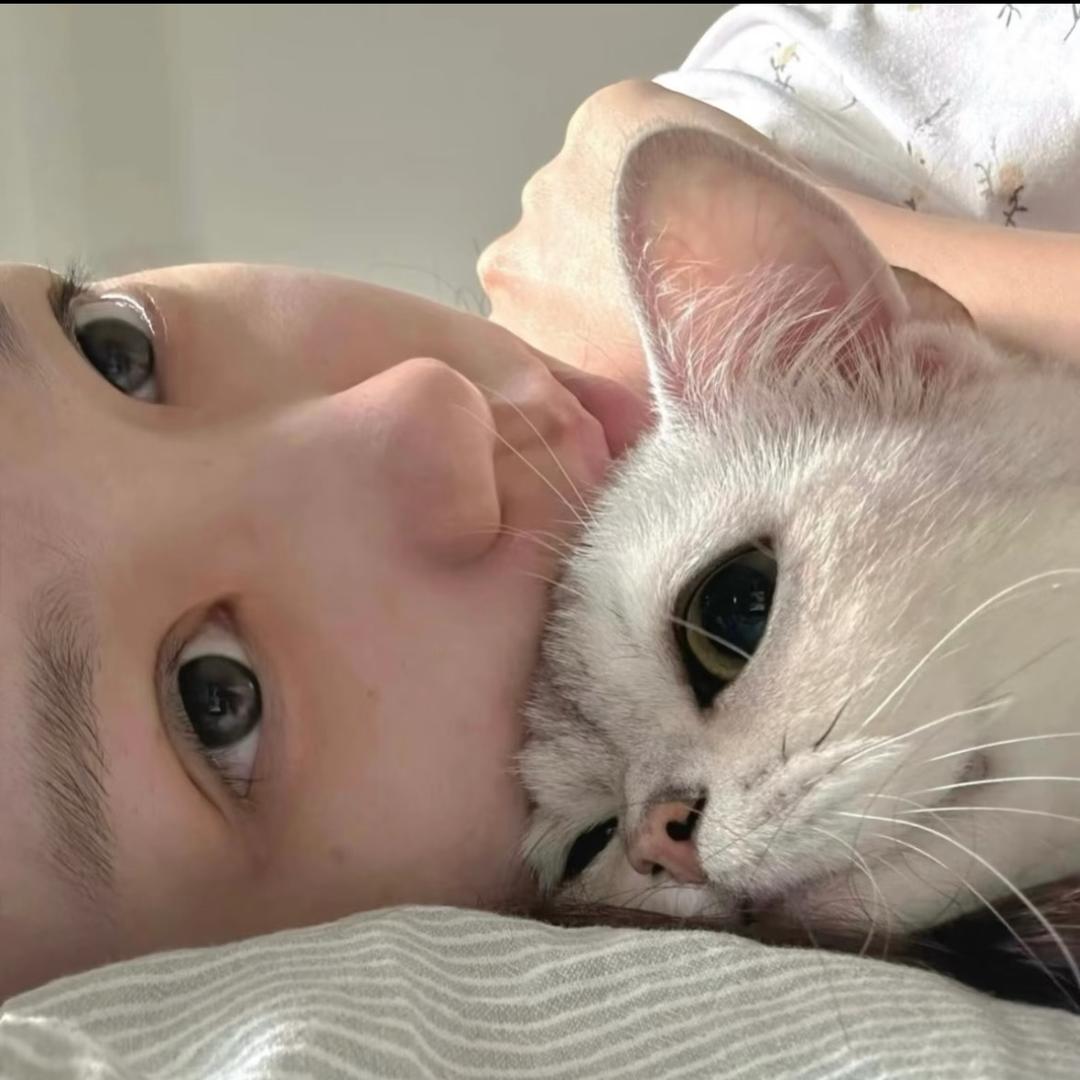 花未眠./