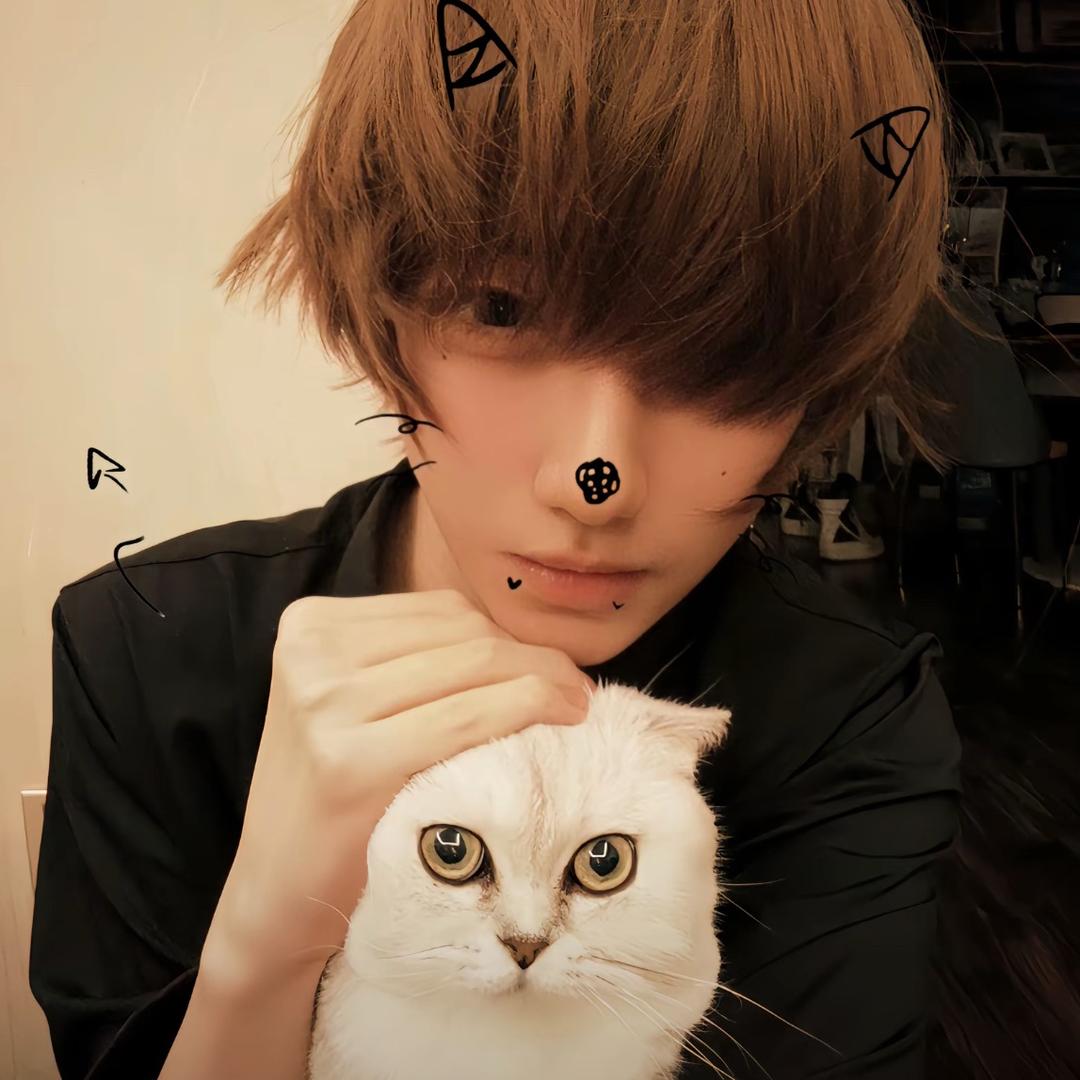 夢夢猫.🐱