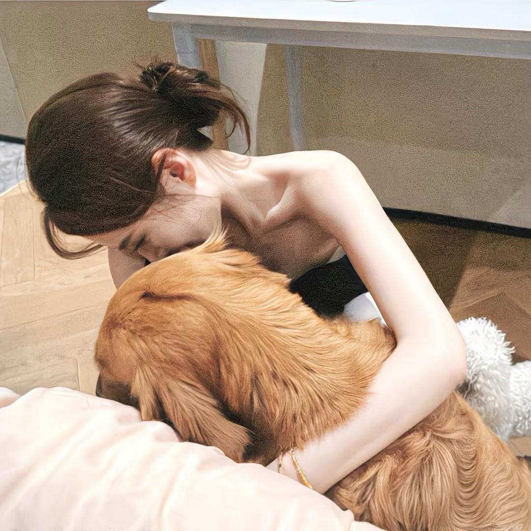 台灯上的熊🐾