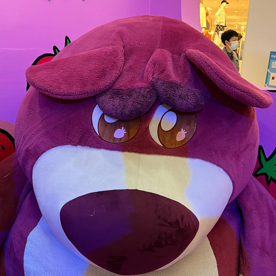 小紧张的熊