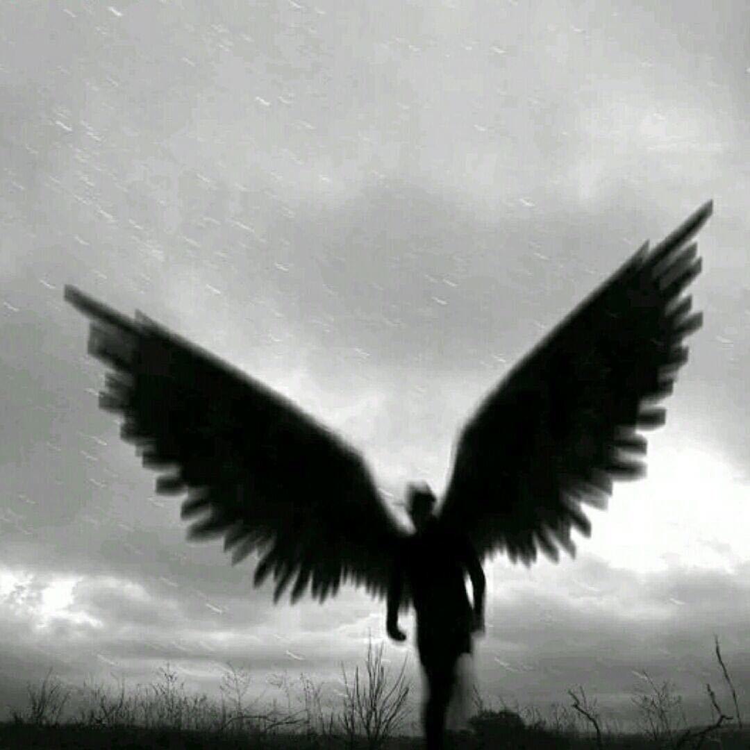 姚旺（路西法）
