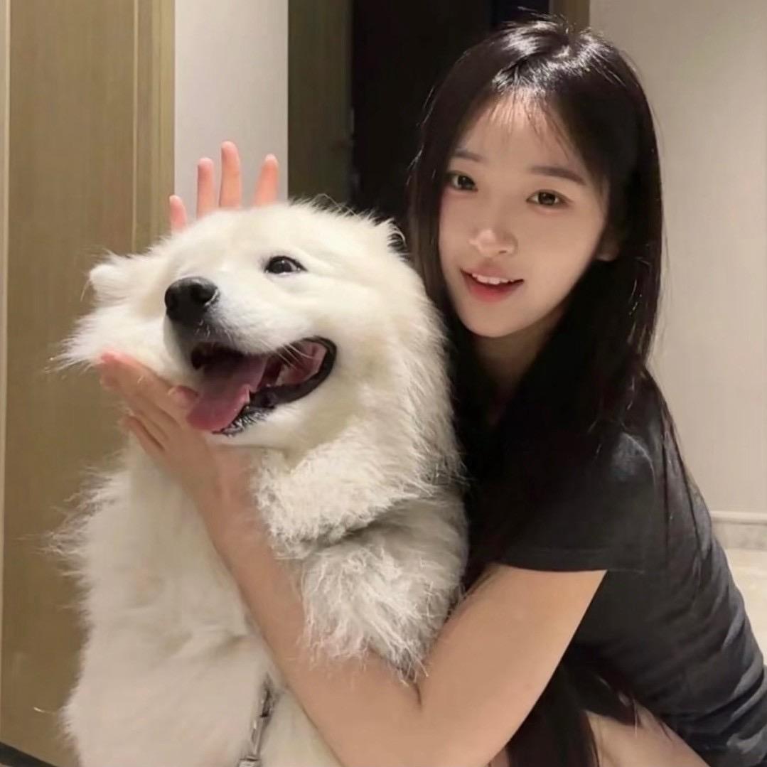 哇哈哈