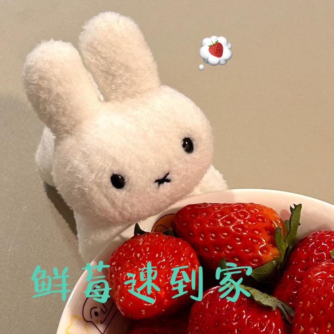 欢迎购买丹东草莓(互粉求关注)