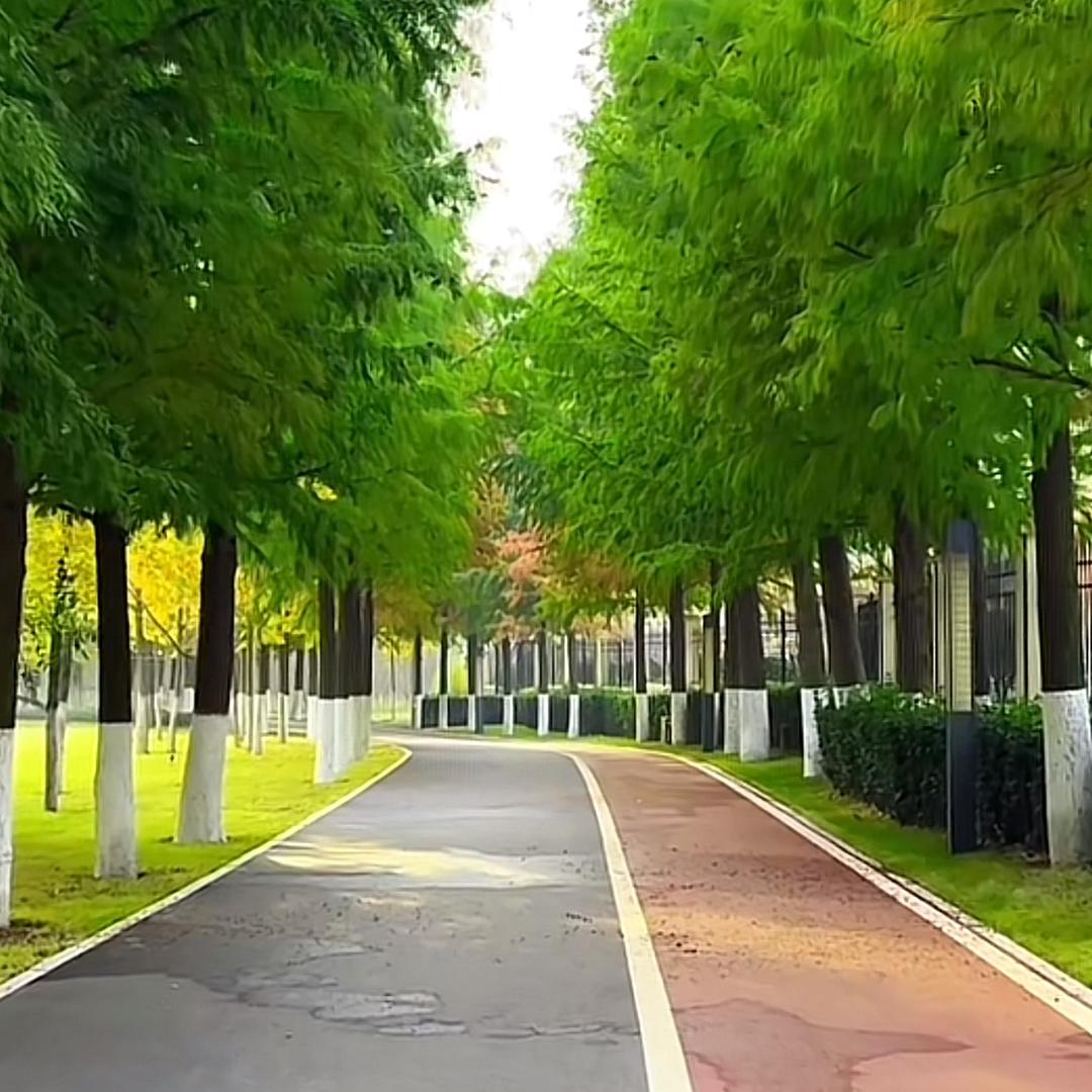 雨过天晴