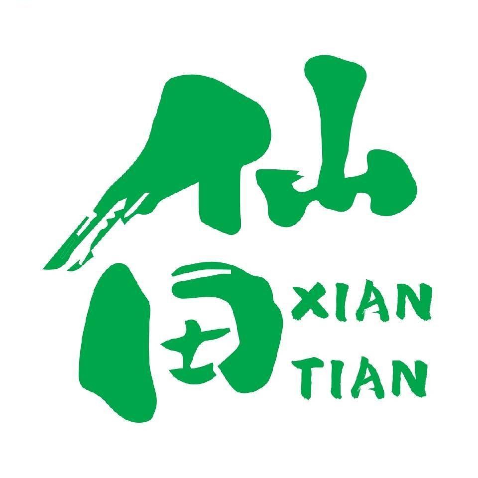 仙田亲子游