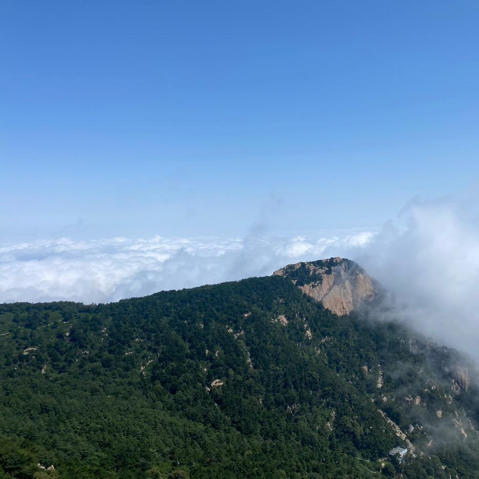 ㅤ  ㅤ  ㅤㅤ  ㅤㅤ  ㅤ  ㅤㅤ