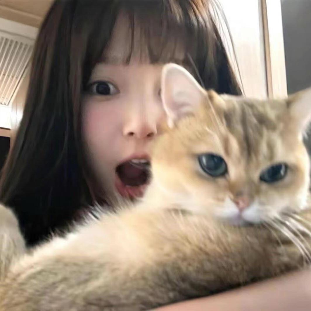 CF绀季