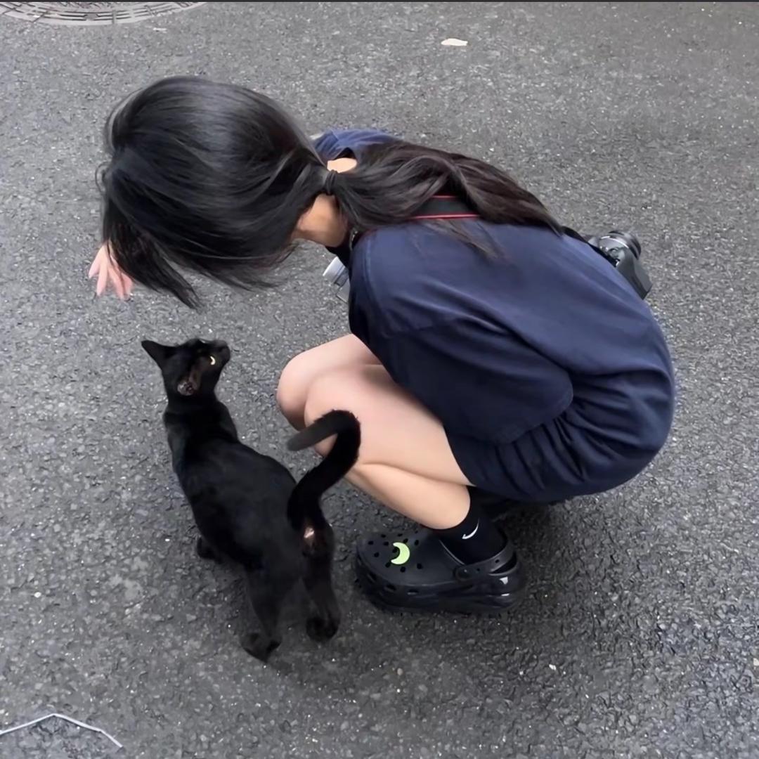 桃眸花笺寄.