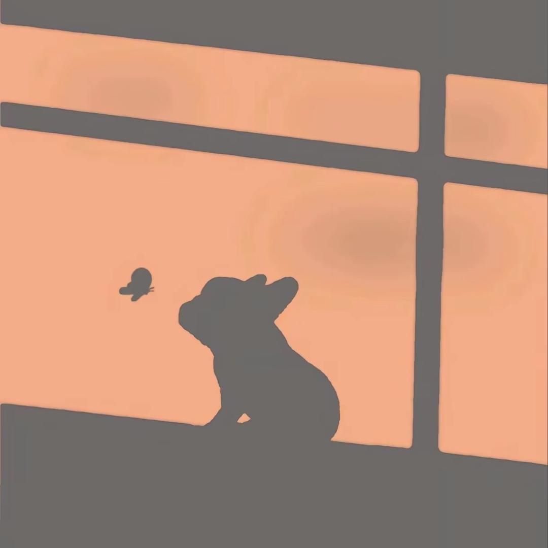 王较瘦i 丶