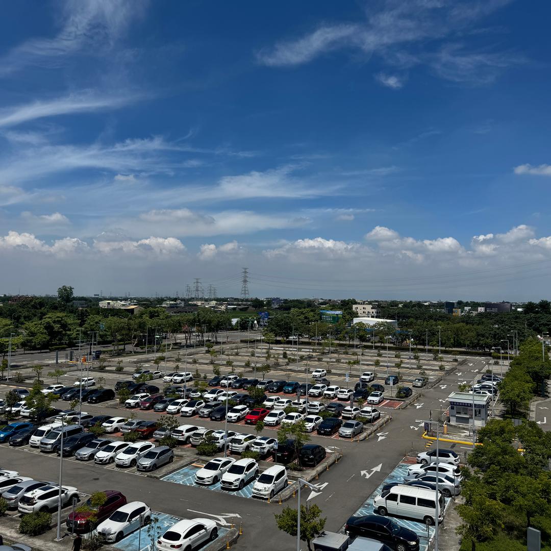 湟今catalpa speciosa