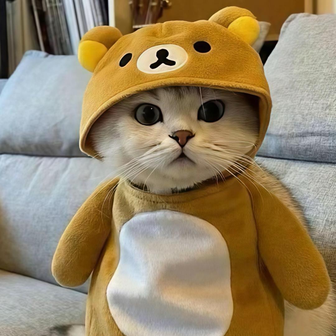 鱼尾扫萍