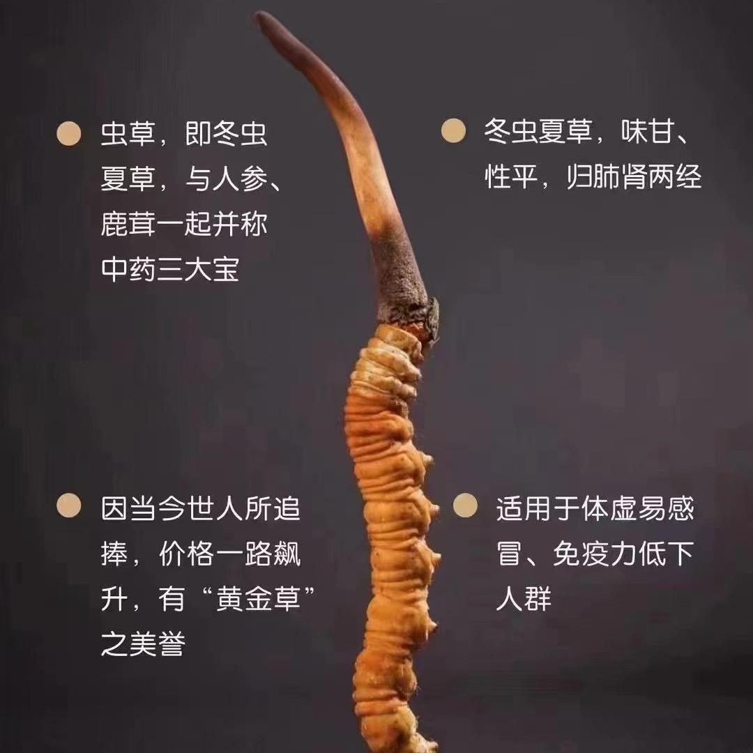 扎西
