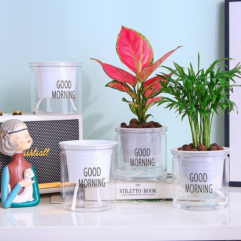 新格调花盆园艺