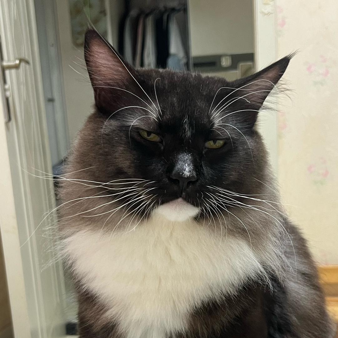 Wᴀɪᴛ