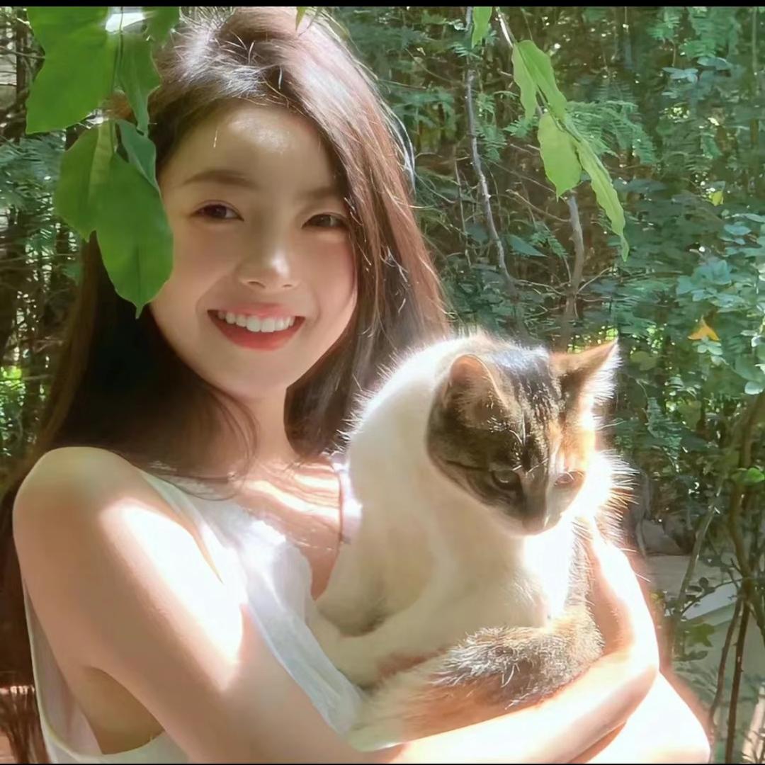 小猫进财宝