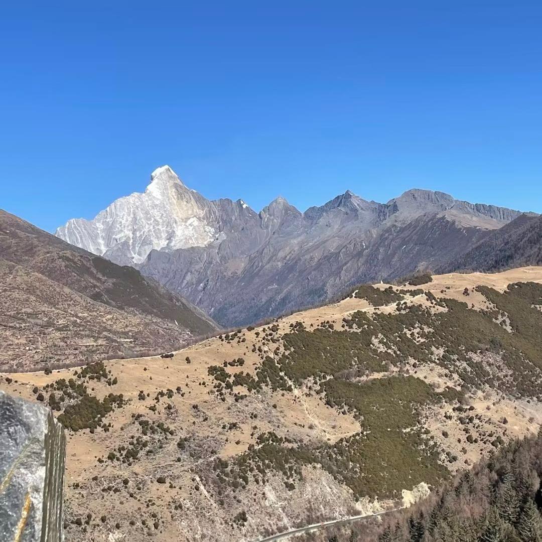 大熊ʕ ᵔᴥᵔ ʔ