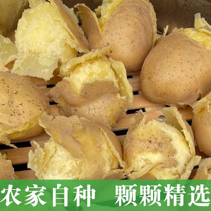 定西甄品