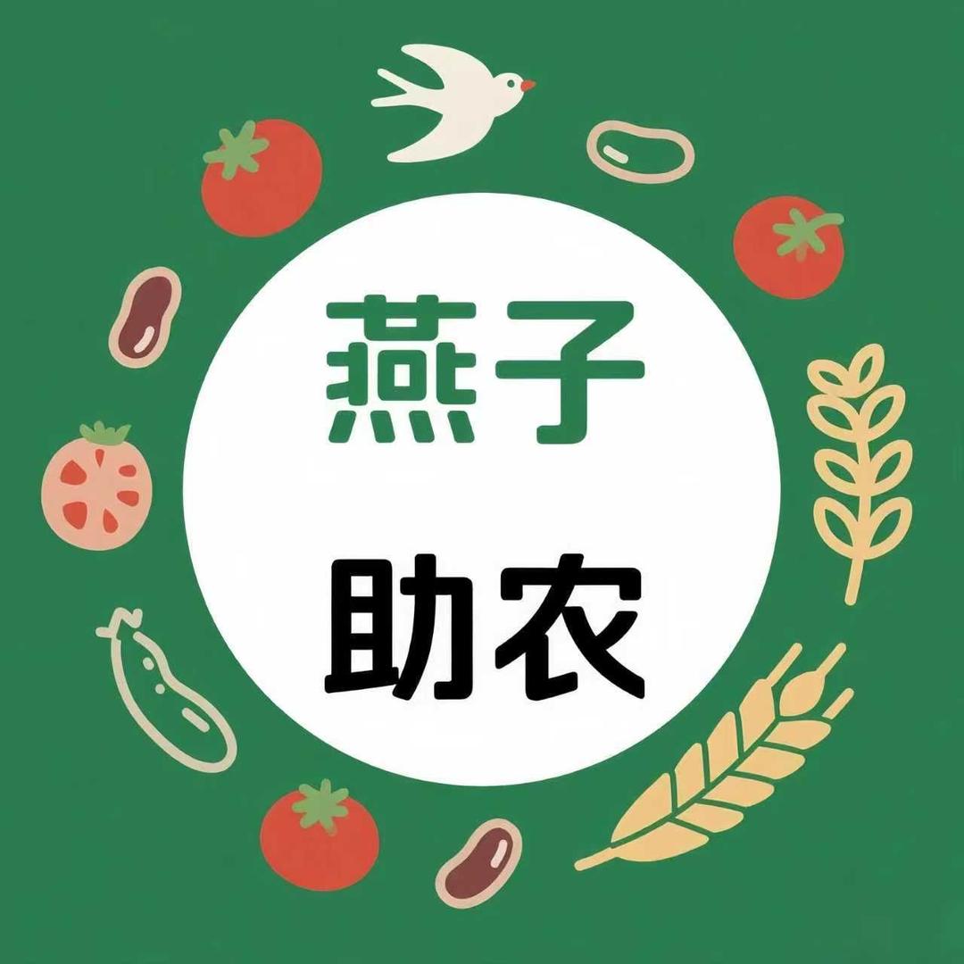 燕子助农甄选