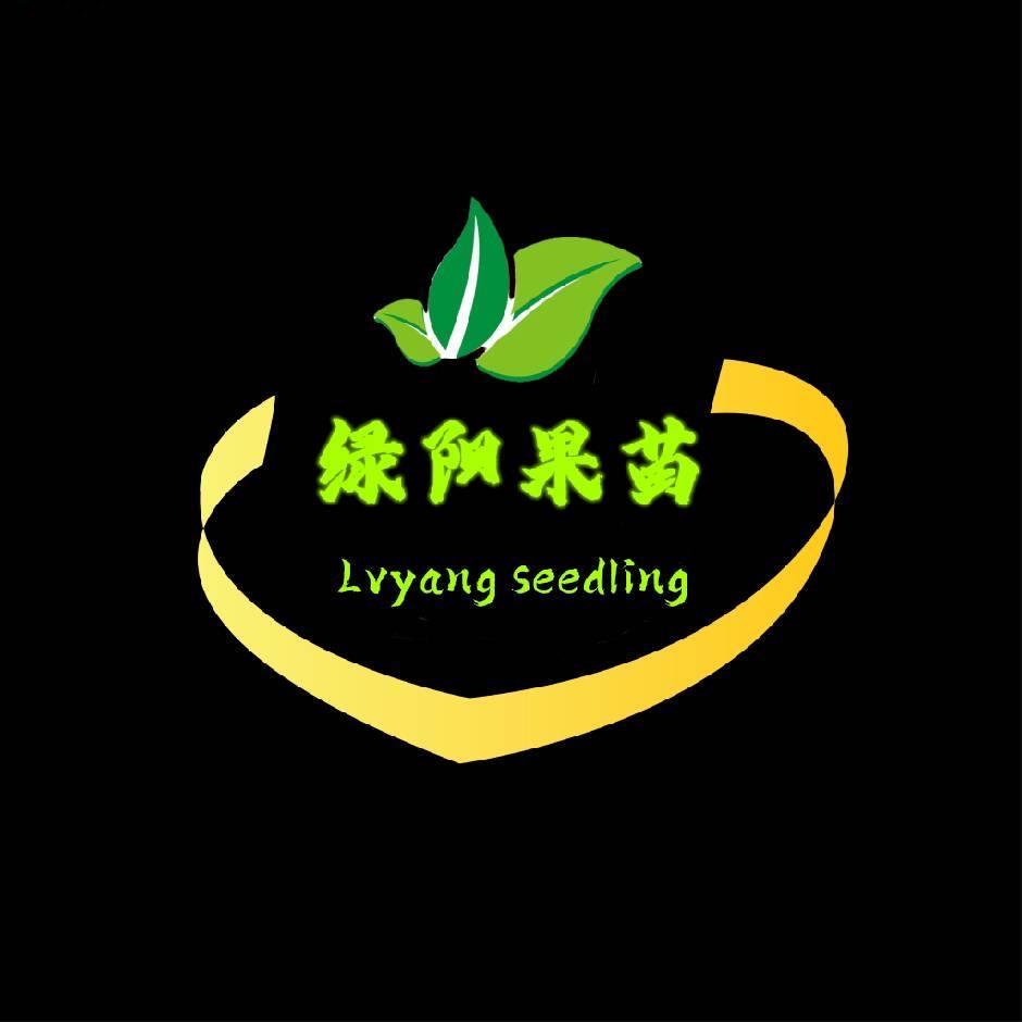 《奇联》《绿阳》果树苗 批发、零售