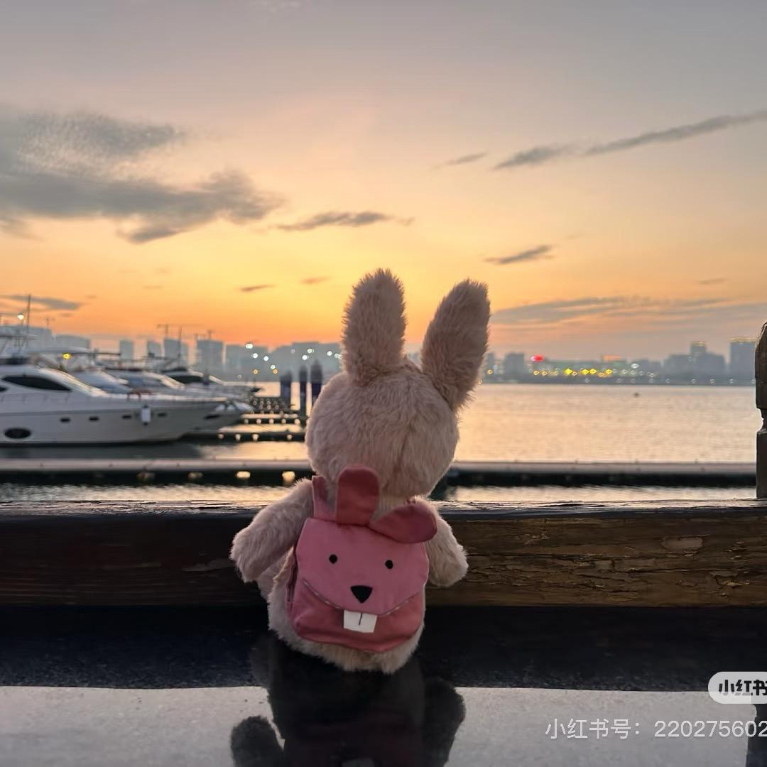 不吃香菜🐇