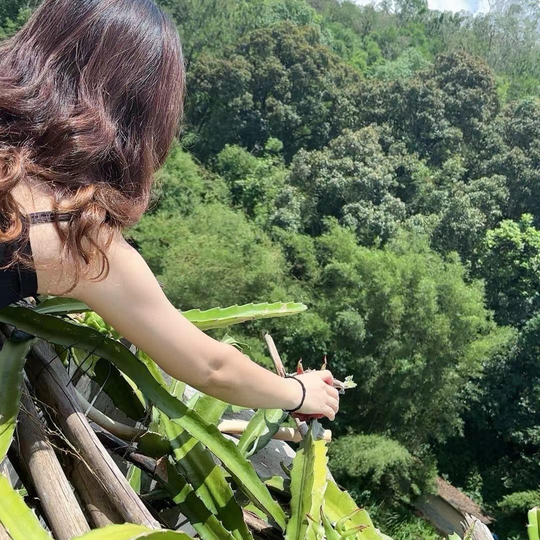 橙洁《美康莱美容中心》
