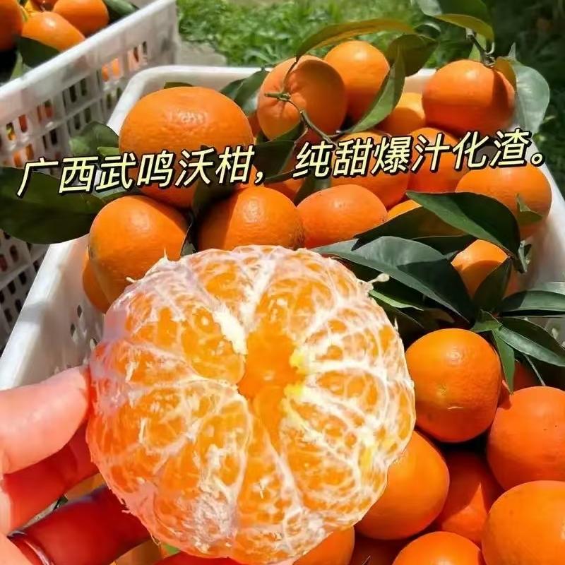 武鸣应季水果