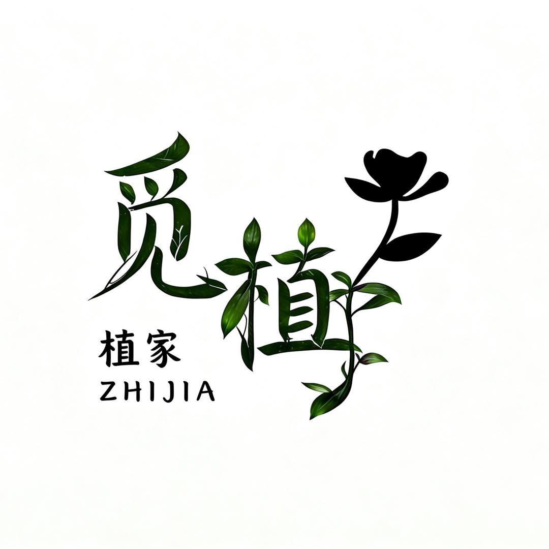 植家觅植-积水凤梨