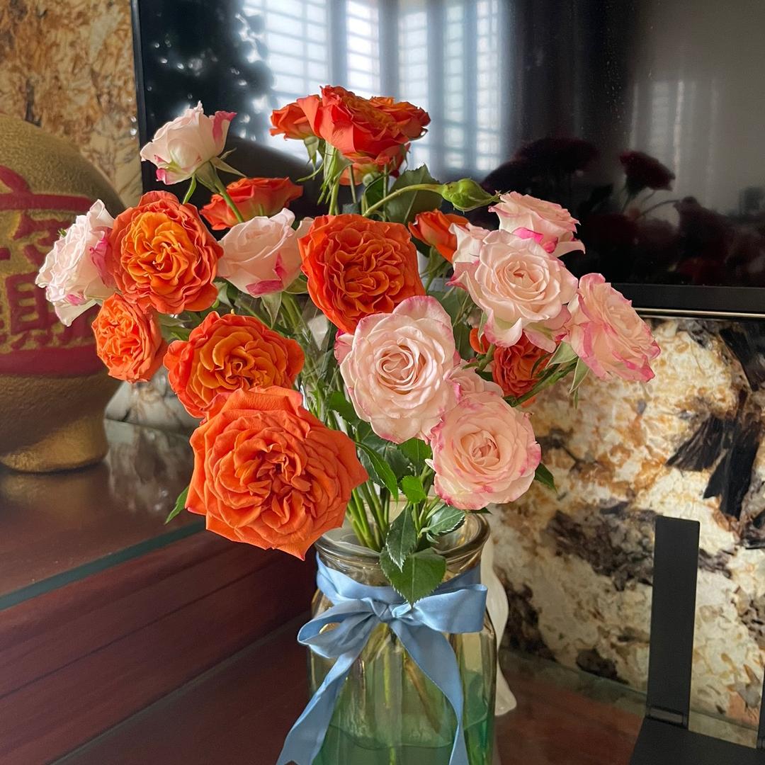 ₍˄·͈༝·͈˄*₎◞ ̑̑天天乐