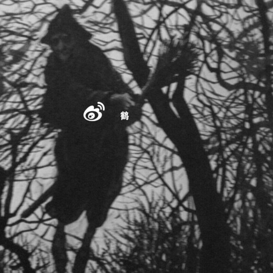 👻寻鬼团[小七]