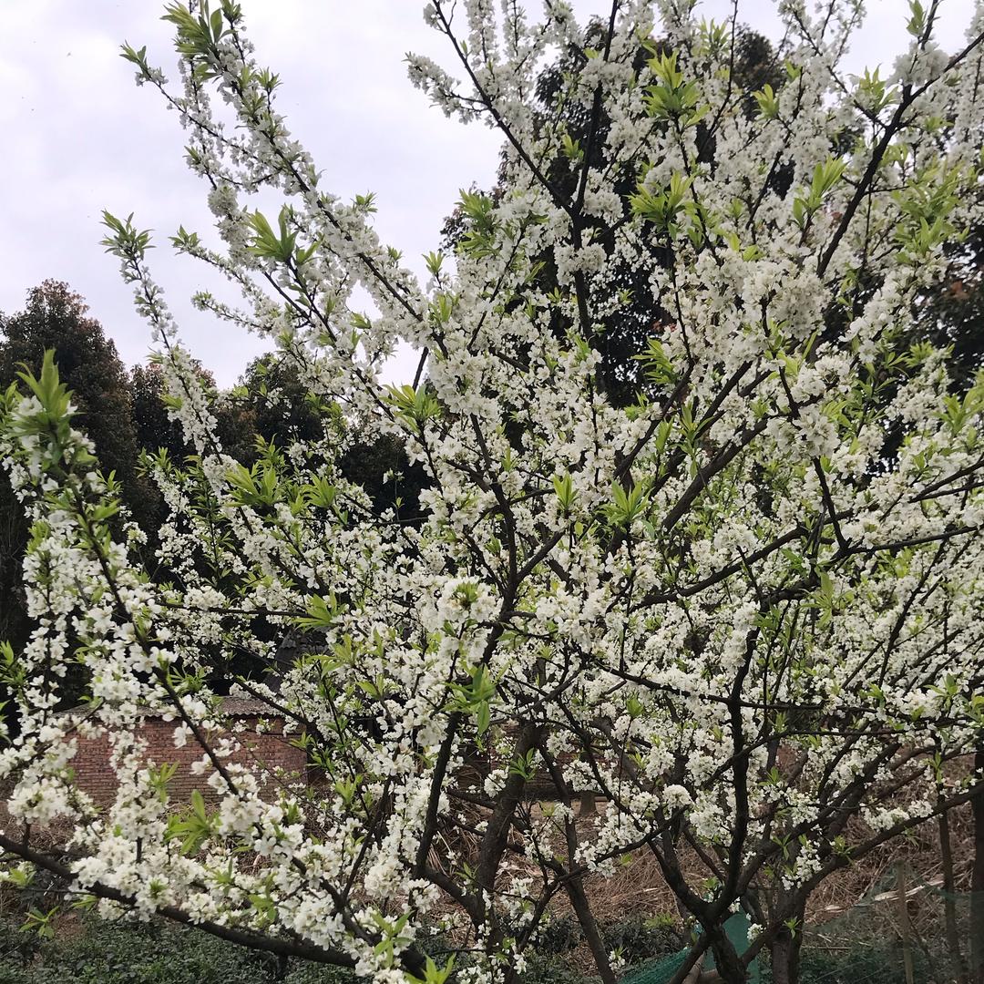 &&$$离～别～過～祛&&