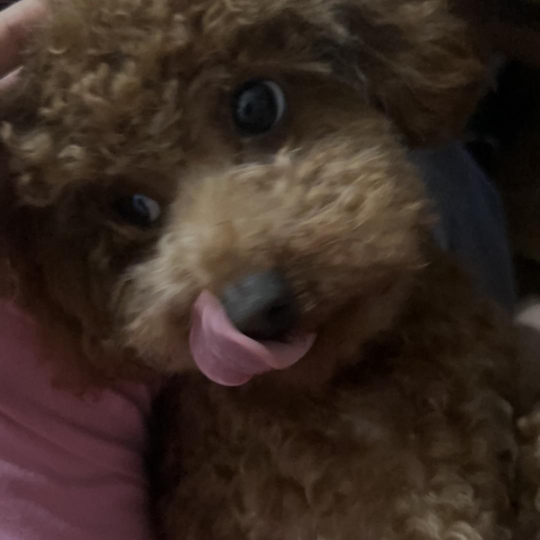 杉悦☘️
