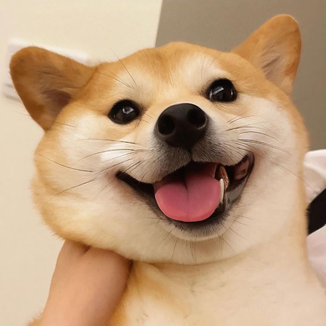 传奇动物园