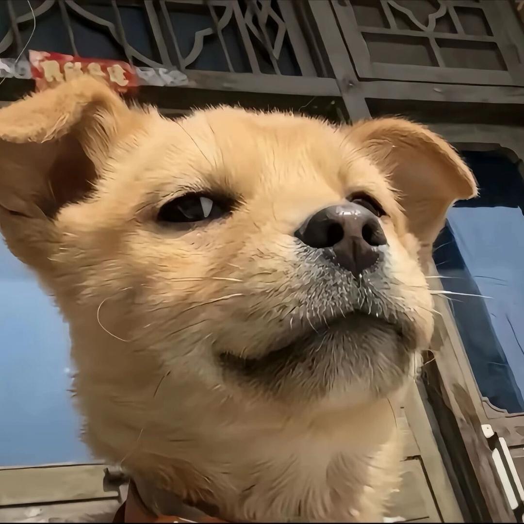 澳得飙