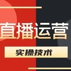 文大美讲直播