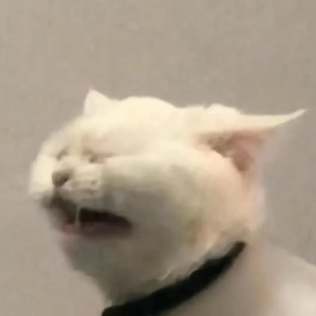 小阿渝y头像