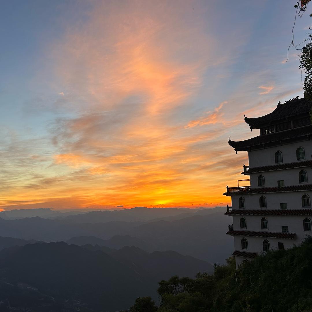 不会飞的陌颜