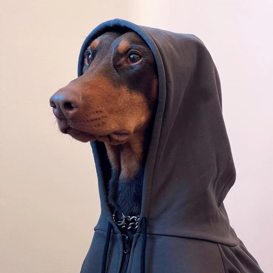🐺西北最后的孤独