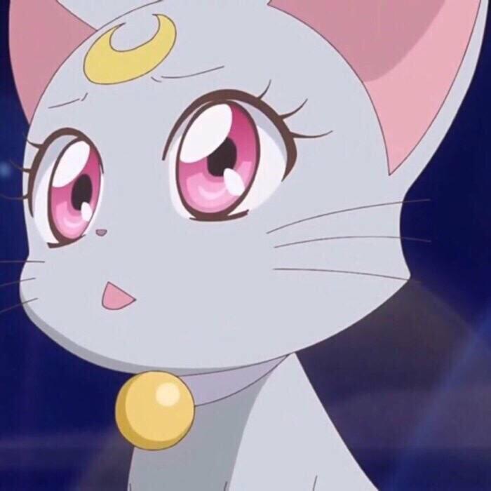 🌟不想熬夜🌙