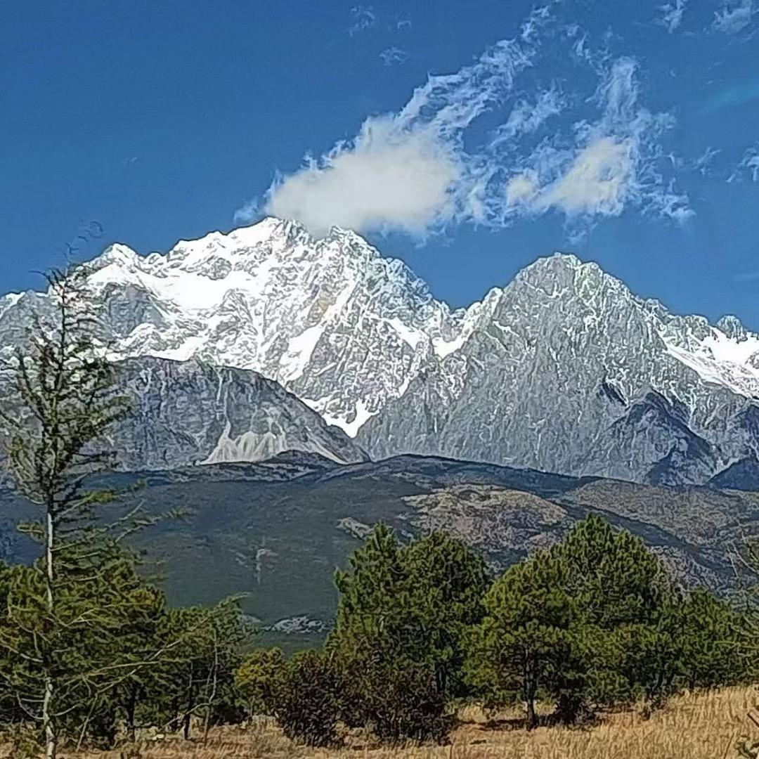 爱车之家(S102店)官方号