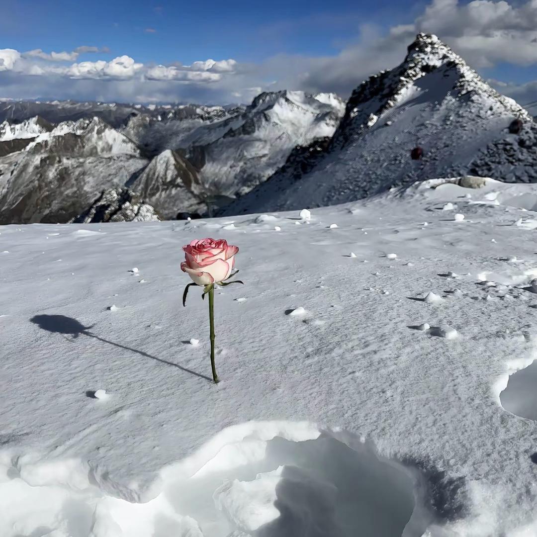 快乐每一天12345678