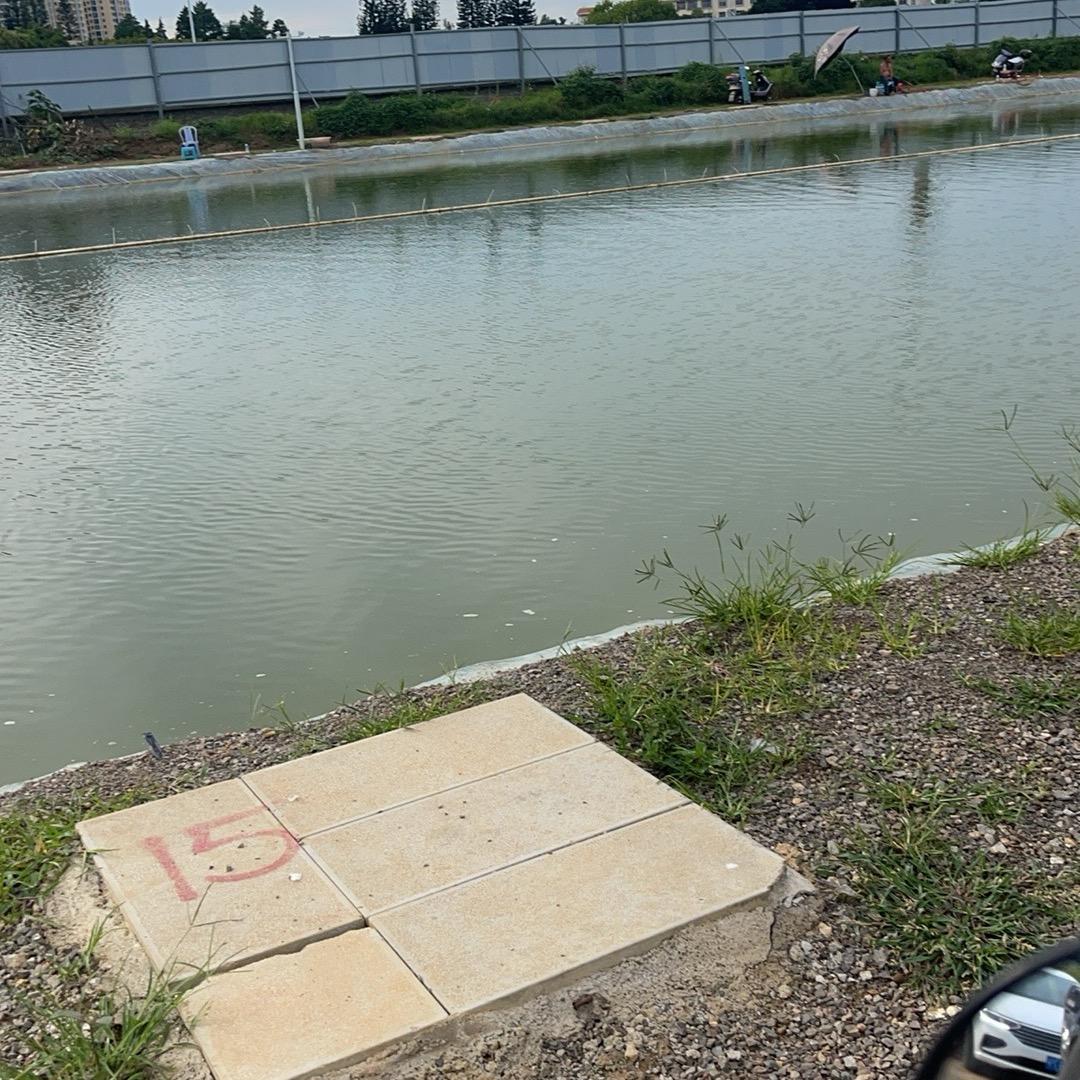 蒙自大将军巨物钓场
