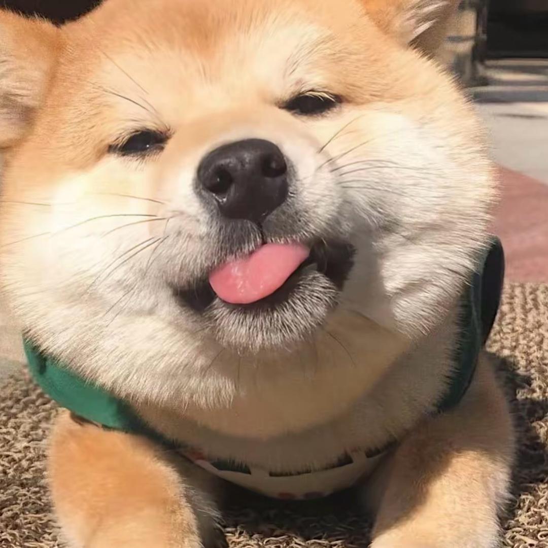 皮蛋