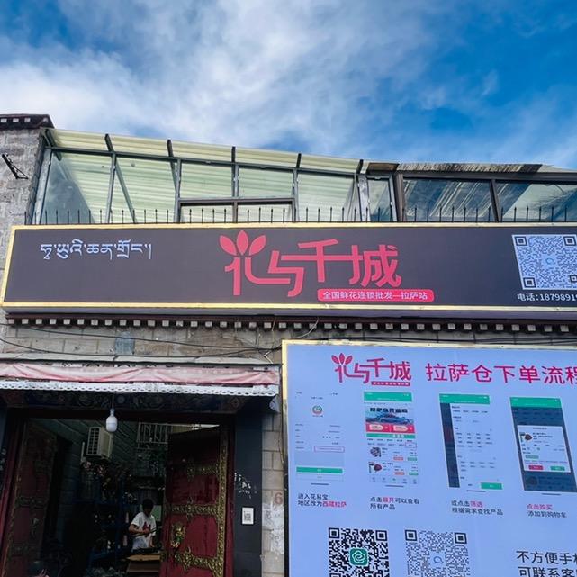 拉萨朵朵鲜花批发中心