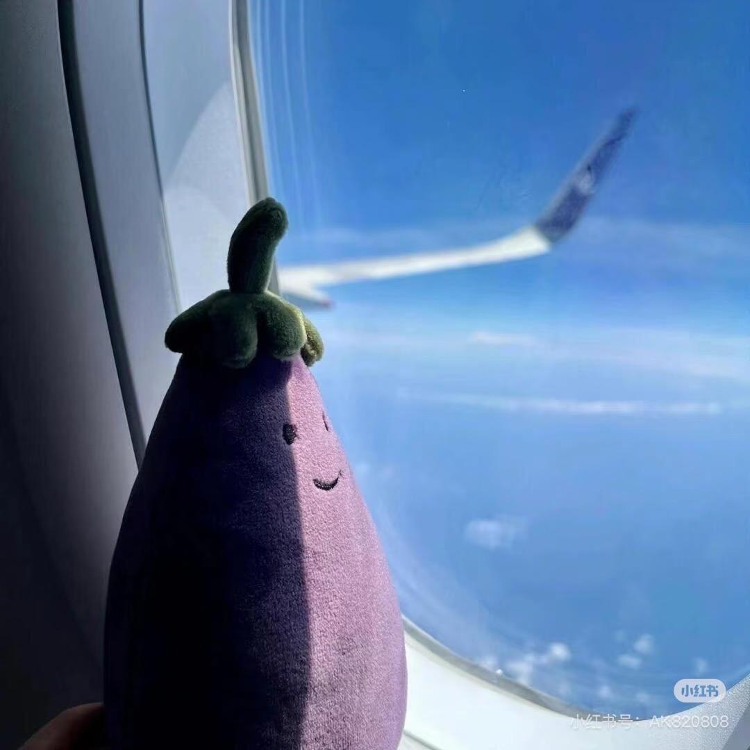 办公室的扛把子